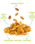 DRIED SULTANA RAISINS - 16 OZ