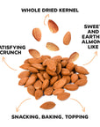 SWEET APRICOT KERNELS - 16 OZ