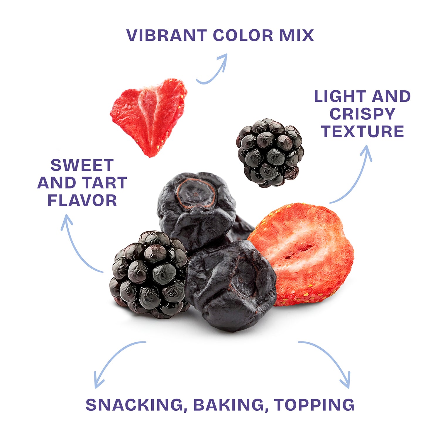 FREEZE DRIED BERRIES - 0.56 OZ – drybox